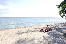 Phangan Beach Resort