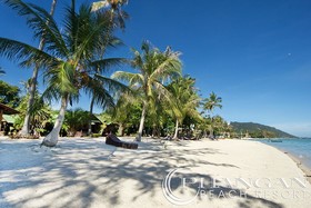Phangan Beach Resort