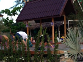 Phangan Cove Beach Resort