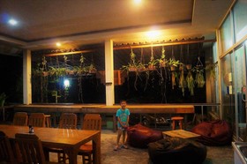 Phangan Farm Stay Resort