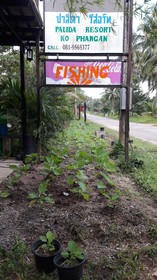 Phangan Farm Stay Resort