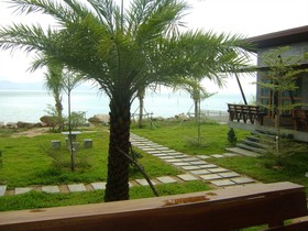 Phangan Palm Beach Resort