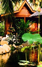 Phangan Rainbow Bungalows