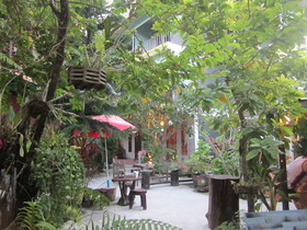 Mad Monkey Koh Phangan