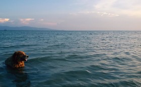 The Relax Beach Resort