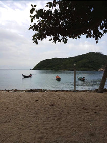 Royal Orchid Resort