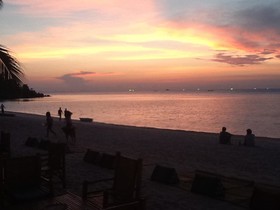 Seaboard Bungalows
