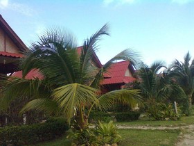 Sea Salad Resort