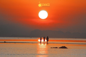 Summer Luxury Beach Resort