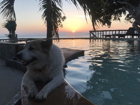 Suncliff Resort