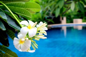 Buri Beach Resort