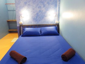 Treechart Hostel