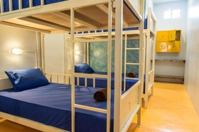 Treechart Hostel