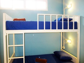 Treechart Hostel
