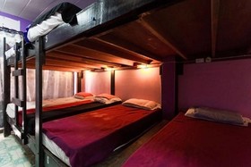 Wild & Wandering Hostel