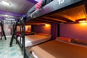 Wild & Wandering Hostel
