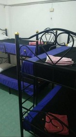 Wild & Wandering Hostel