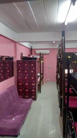 Wild & Wandering Hostel