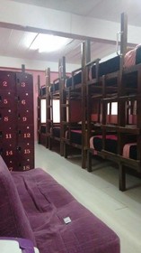 Wild & Wandering Hostel