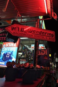 Wild & Wandering Hostel