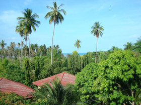 Satva Samui