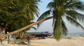 Aree Beach Resort