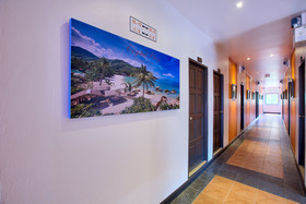 Colorize Boutique Hotel