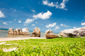 Lazy Days Resort