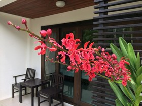 Ampha Place Hotel