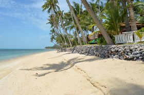 Green Coconut Village A