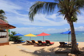 The Cosy Beach Resort