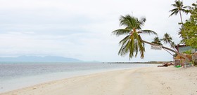 Mimosa Resort & Spa