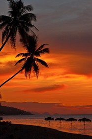 Mimosa Resort & Spa