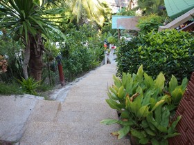 Palm Point Village
