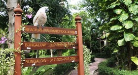 Pinnacle Samui Resort & Spa