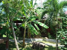 Tropical Garden Lounge