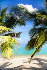 W Koh Samui