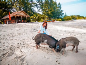 Avani+ Samui