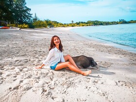 Avani+ Samui