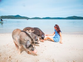 Avani+ Samui