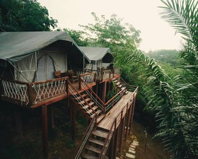 Khaosok Boutique Camps