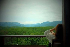 Khaosok Boutique Camps