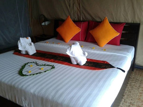 Khaosok Boutique Camps