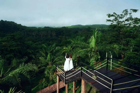 Khaosok Boutique Camps