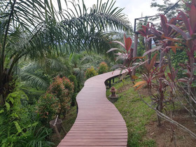 Khaosok Boutique Camps