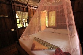 Khaosok Palmview