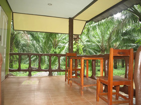 Khaosok Palmview
