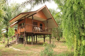 Khaosok Palmview