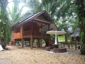 Khaosok Palmview