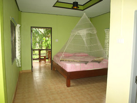 Khaosok Palmview